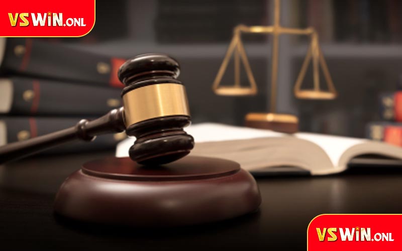 Các Nguyên tắc cơ bản về miễn trừ trách nhiệm tại VSWIN